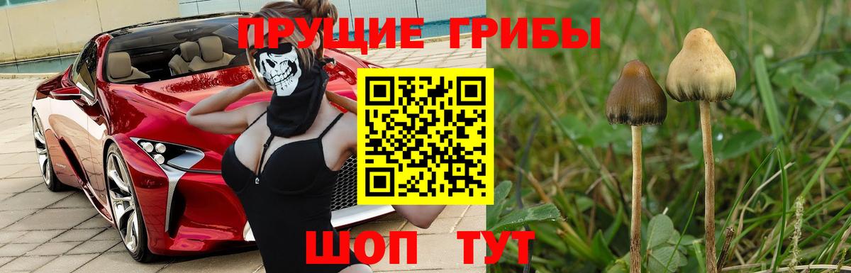 Галлюциногенные грибы Cubensis  Галлюциногенные грибы мухоморы  Щёлково  Вход с VPN 
