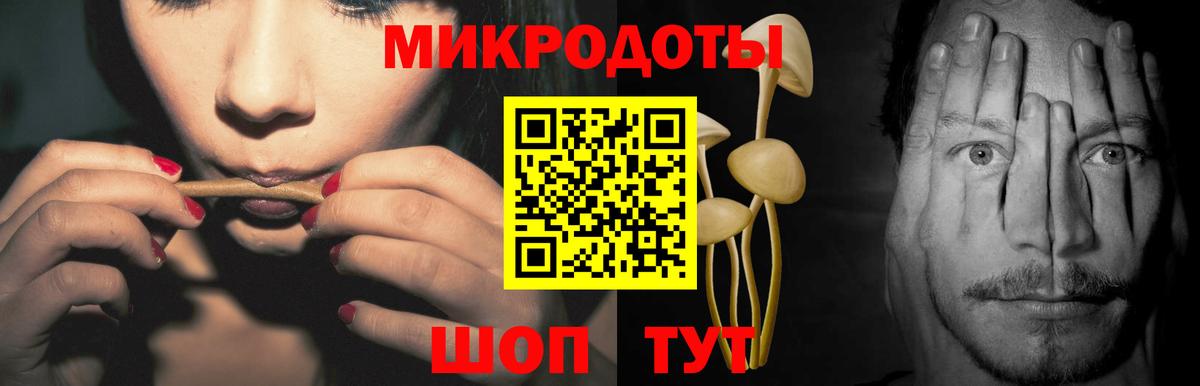 Галлюциногенные грибы Psilocybe Щёлково